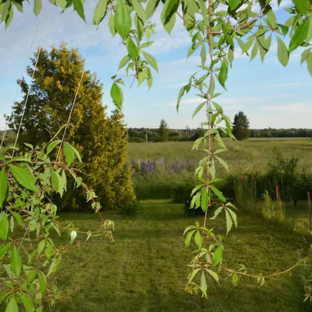 Viihtyisae Pikkukoti Forssassa - Tiny Cosy In Διαμέρισμα