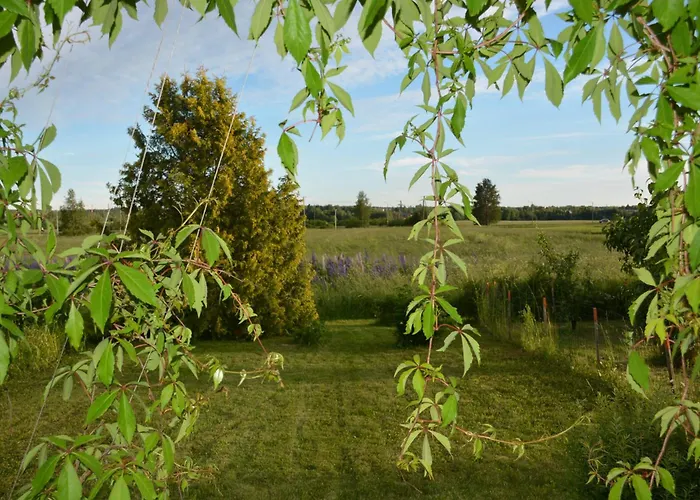 Viihtyisae Pikkukoti Forssassa - Tiny Cosy In Апартаменты