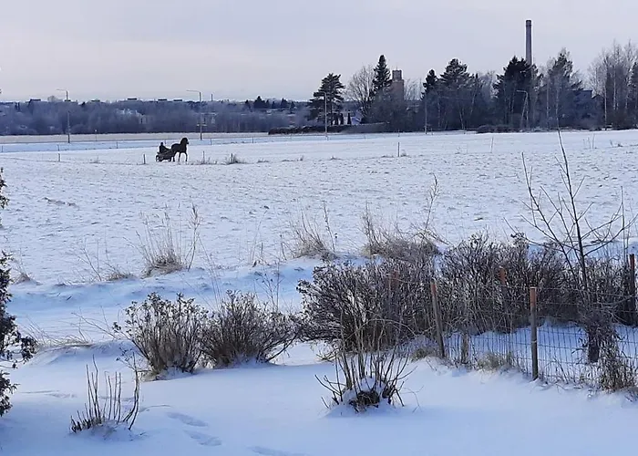 Апартаменты Viihtyisae Pikkukoti Forssassa - Tiny Cosy In *